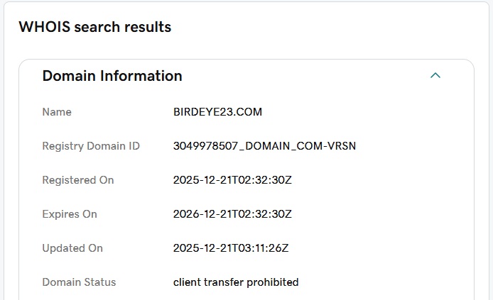 birdeye23 domain age
