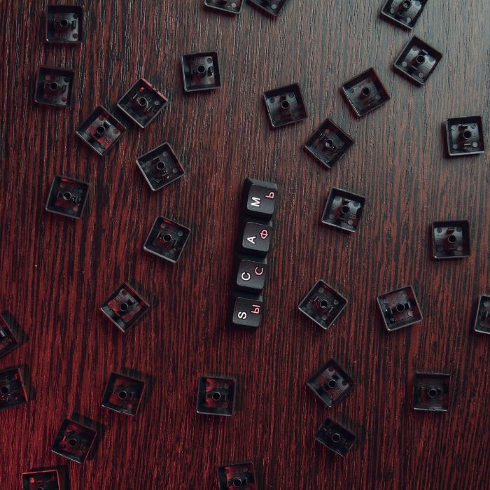 Vittaverse.com Review